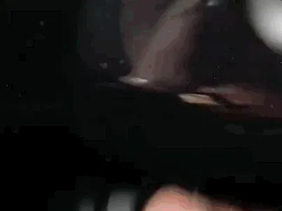 海外父亲节营销:流量超7亿,社媒正在流行一种很新的玩法