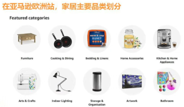 亚马逊欧洲站2024年 三大类目选品趋势及消费洞察