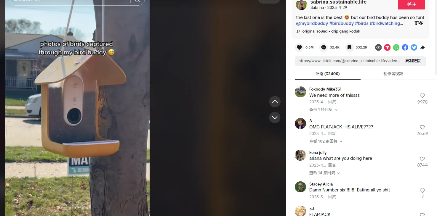 “鸟”类宠物成跨境新宠,2024年宠物领域跨境电商迎来新机遇